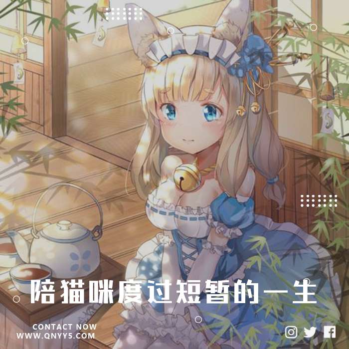 舒坦の猫猫《陪猫咪度过短暂的一生》FLAC+MP3