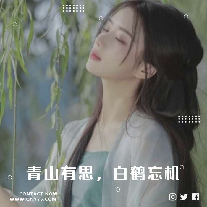 50首国风大赏《青山有思，白鹤忘机》FLAC+MP3+MV