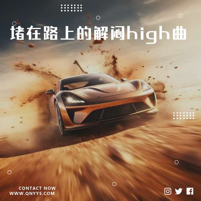 DJ动力100%《堵在路上的解闷high曲》FLAC+MP3+MV