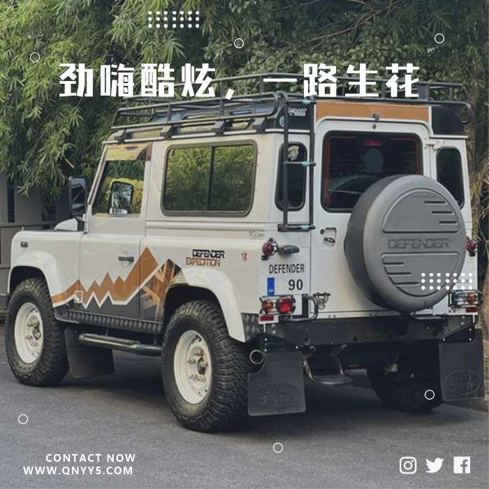 DJ车载《劲嗨酷炫，一路生花》FLAC+MP3+MV