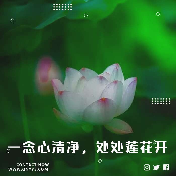 《一念心清净，处处莲花开》FLAC+MP3+MV