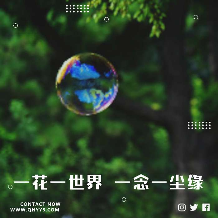 《一花一世界 一念一尘缘》FLAC+MP3+MV