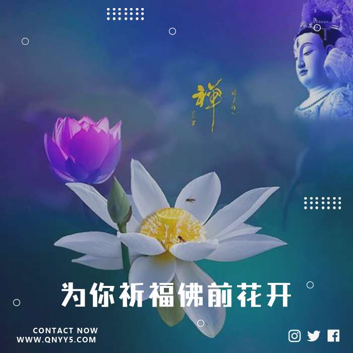 《为你祈福佛前花开》FLAC+MP3+MV