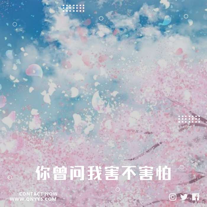 《樱花树下的约定》你曾问我害不害怕FLAC+MP3+MV