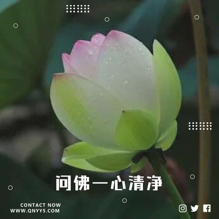 《问佛一心清净》FLAC+MP3+MV