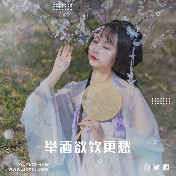 伤感古风《拔剑断水更流，举酒欲饮更愁》FLAC+MP3+MV