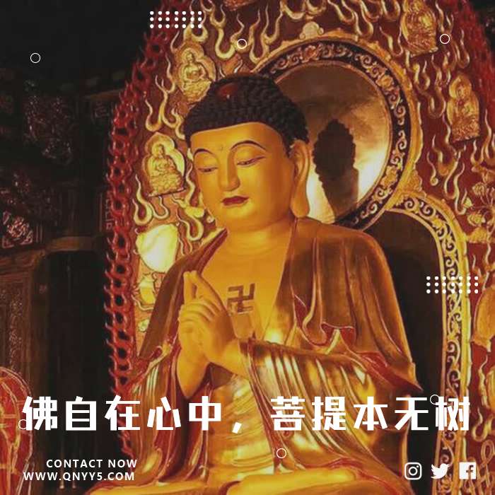 佛乐《佛自在心中，菩提本无树，明镜亦非台》FLAC+MP3+MV