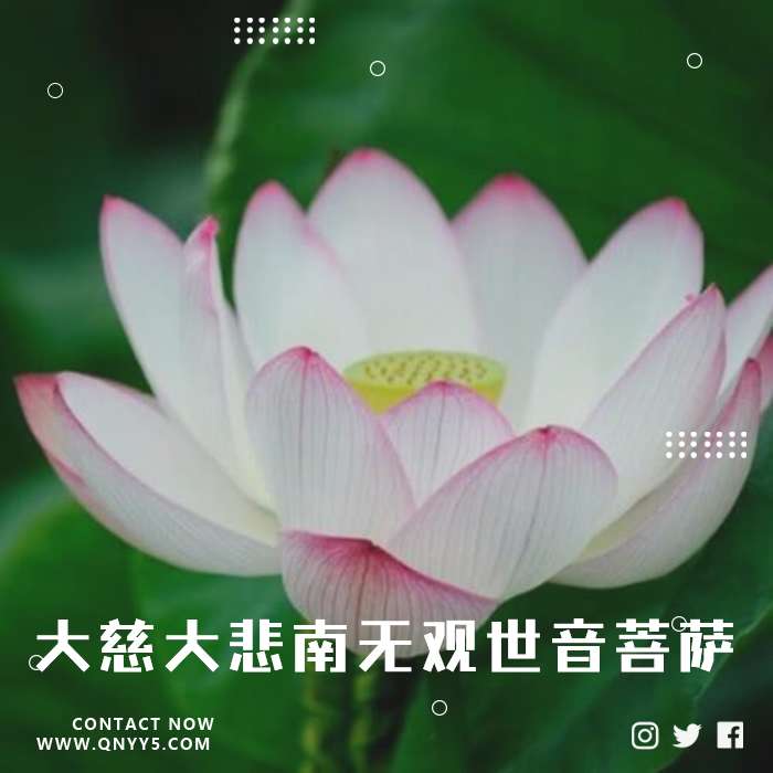 佛乐《大慈大悲南无观世音菩萨》FLAC+MP3+MV