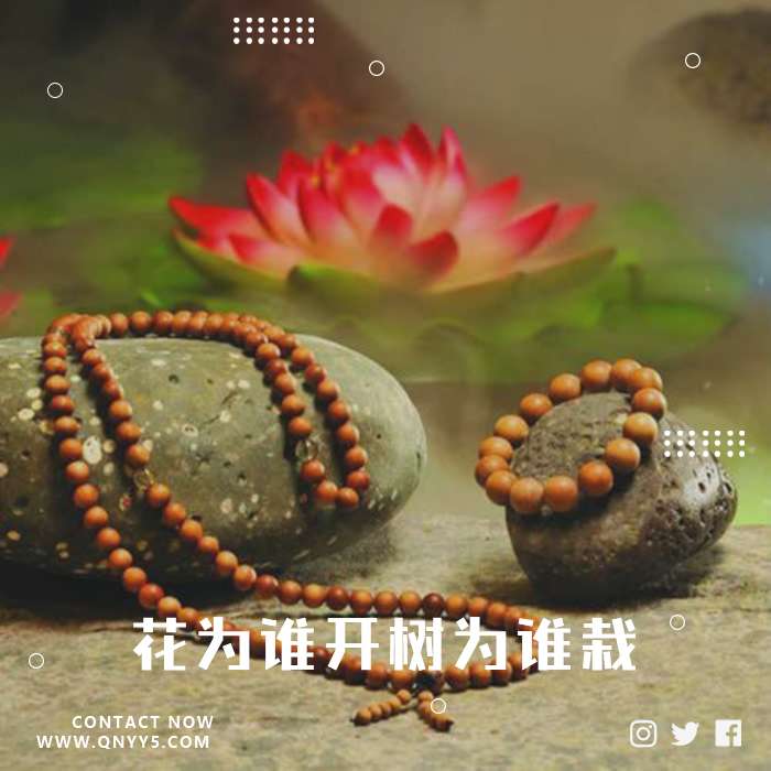 佛乐《花为谁开树为谁栽》FLAC+MP3+MV