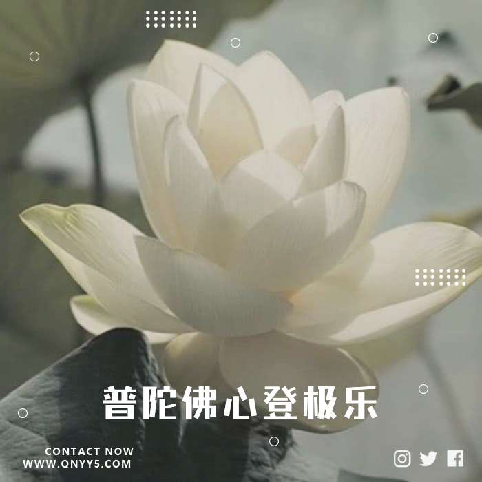 佛乐《问佛为谁叹，普陀佛心登极乐》FLAC+MP3