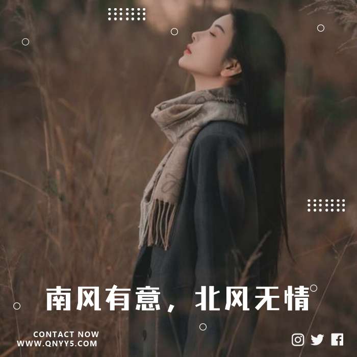 催泪情歌《南风有意，北风无情》FLAC+MP3+MV