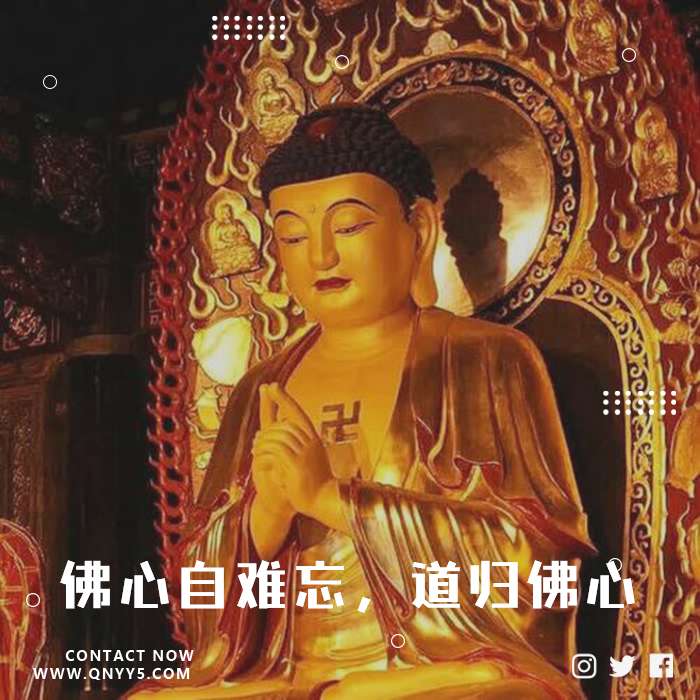 准提咒《佛心自难忘，道归佛心，佛自在心中i》FLAC+MP3+MV