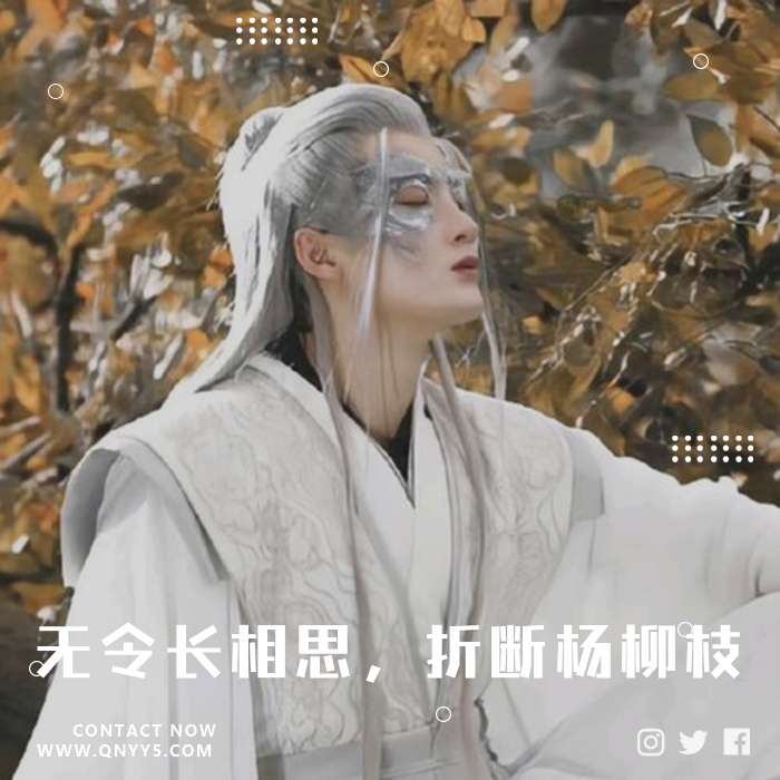 古风情《无令长相思，折断杨柳枝》MV