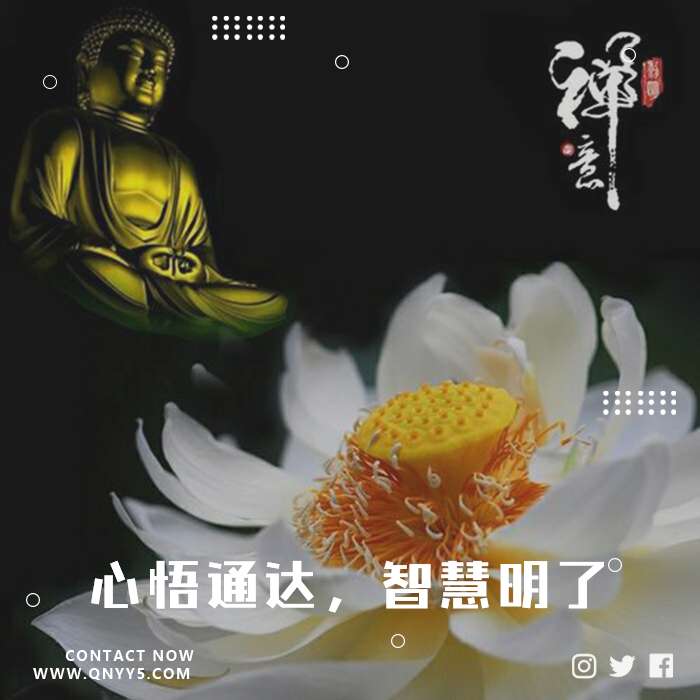 听佛乐《心悟通达，智慧明了》FLAC+MP3+MV