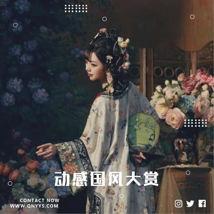 国风DJ《动感国风大赏》FLAC+MP3+MV