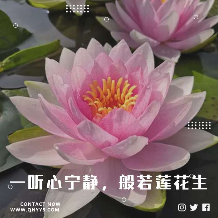 天籁佛音《一听心宁静，般若莲花生》FLAC+MP3