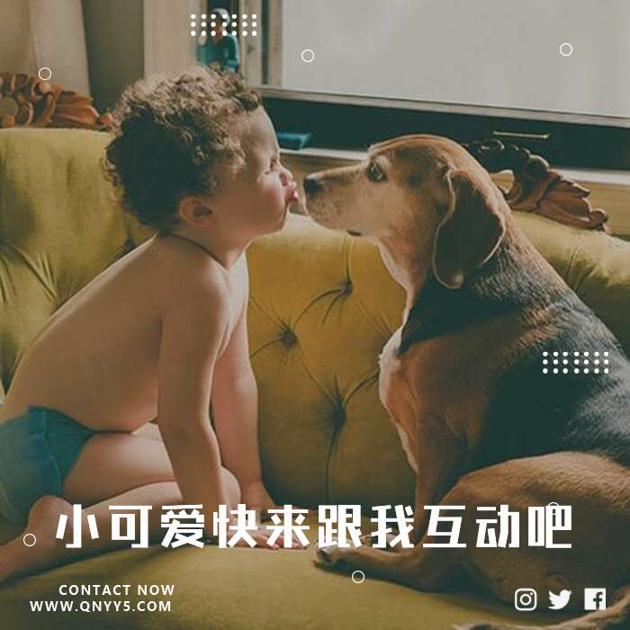 小动物儿歌《萌萌小可爱快来跟我互动吧！》MP3+FLAC+MV