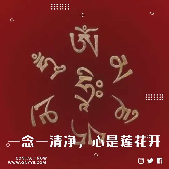 心向菩提《一念一清净，心是莲花开》FLAC+MP3