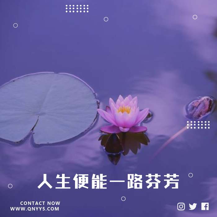 心如莲花《人生便能一路芬芳》FLAC+MP3+MV