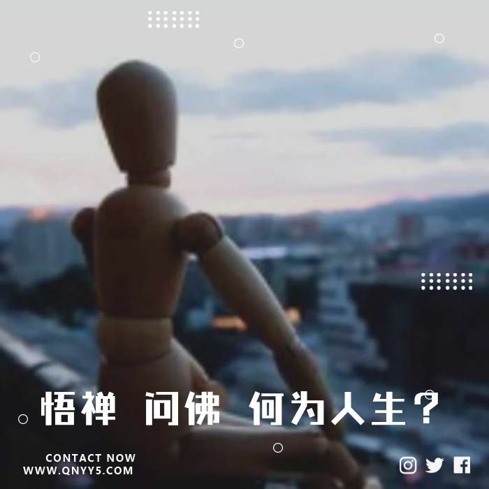 悟禅 问佛 何为人生？》FLAC+MP3+MV