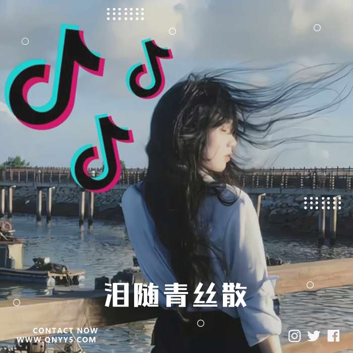 抖音0.8x慢速热曲《泪随青丝散》FLAC+MP3