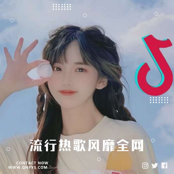 抖音BGM《流行热歌风靡全网》FLAC+MP3+MV