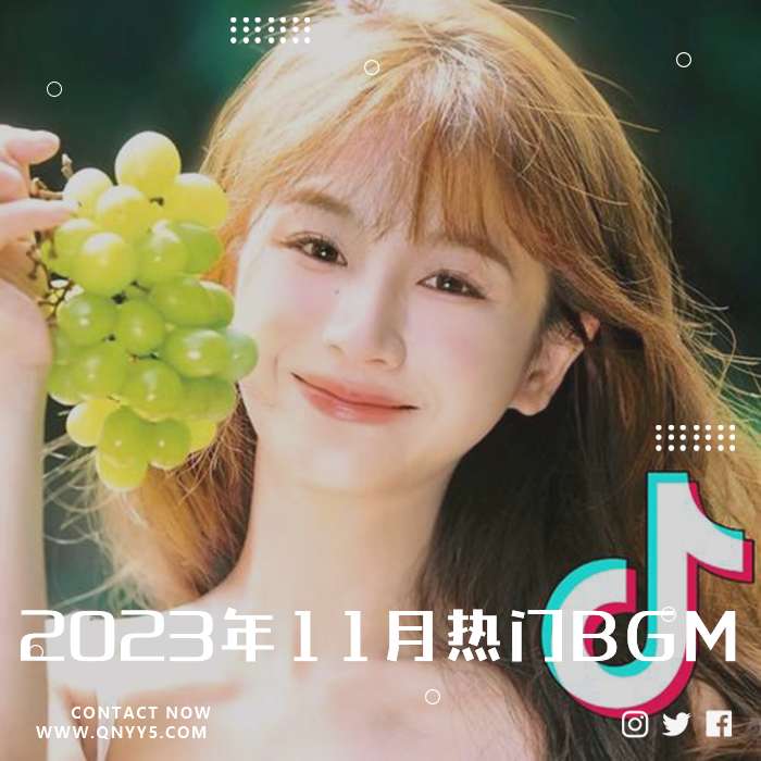 抖音《2023年11月热门BGM》FLAC+MP3+MV