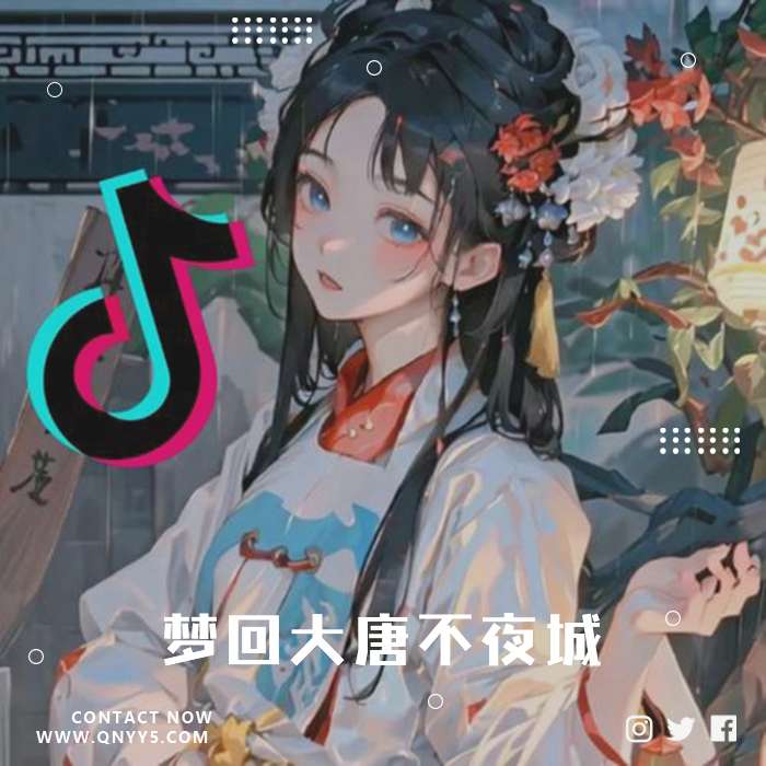 抖音古风100首《梦回大唐不夜城》FLAC+MP3+MV