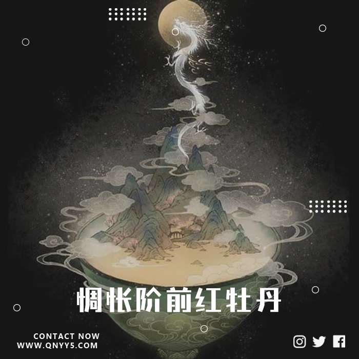 抖音古风《 惆怅阶前红牡丹》FLAC+MP3+MV