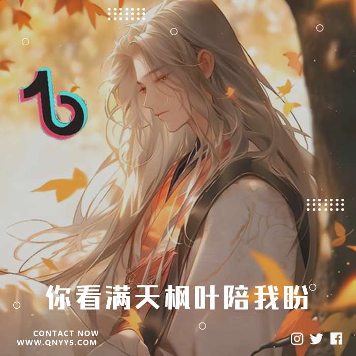 抖音古风《你看满天枫叶陪我盼》FLAC+MP3+MV