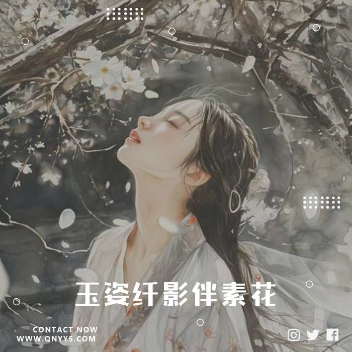 抖音古风《玉姿纤影伴素花》FLAC+MP3+MV