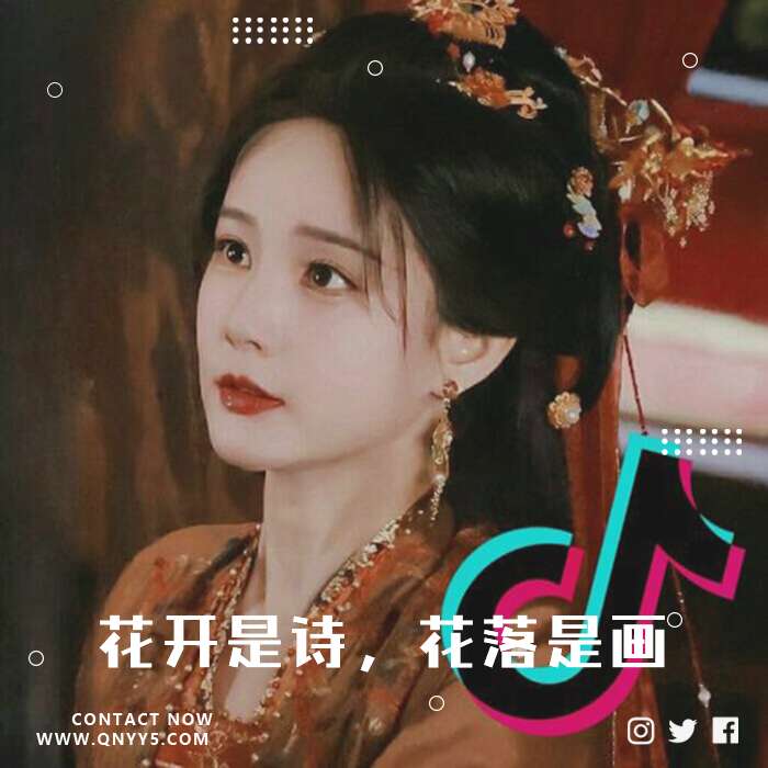 抖音古风《花开是诗，花落是画》FLAC+MP3+MV