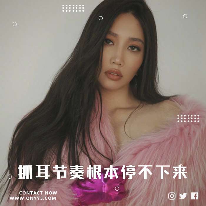 抖音热歌《抓耳节奏，根本停不下来》FLAC+MP3+MV