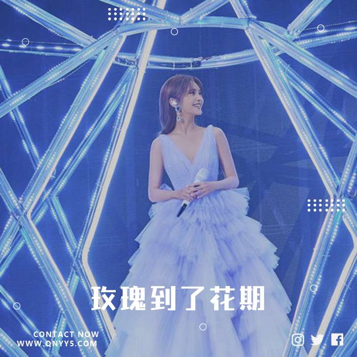 暧昧情歌《玫瑰到了花期》FLAC+MP3+MV