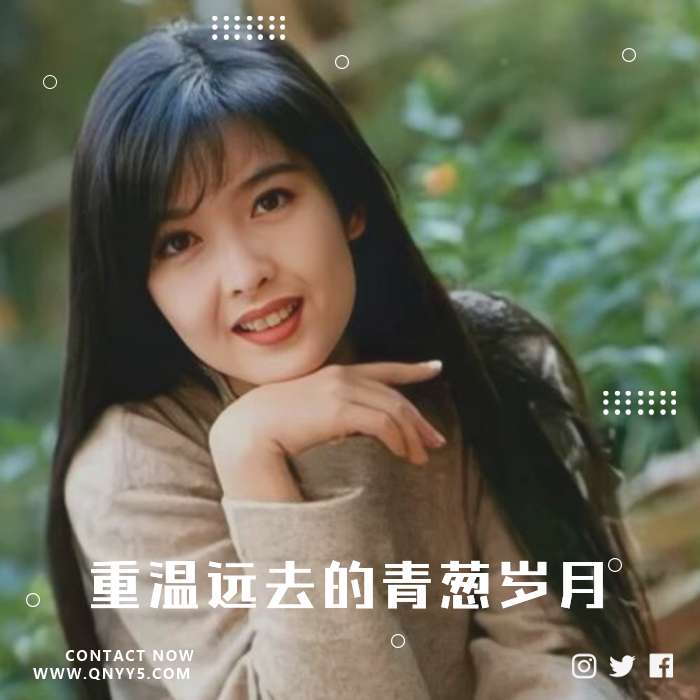 港风金曲《重温远去的青葱岁月》FLAC+MP3+MV