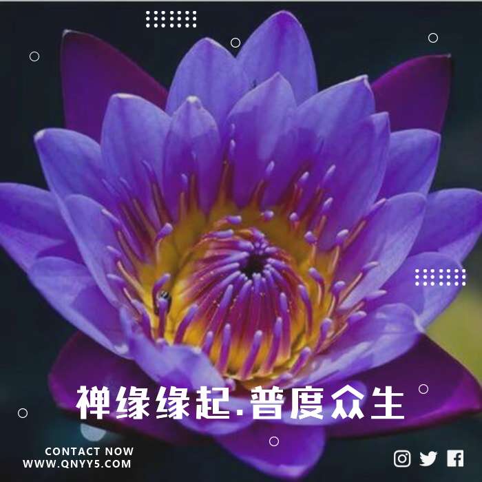 禅心《禅缘缘起.普度众生》FLAC+MP3+MV