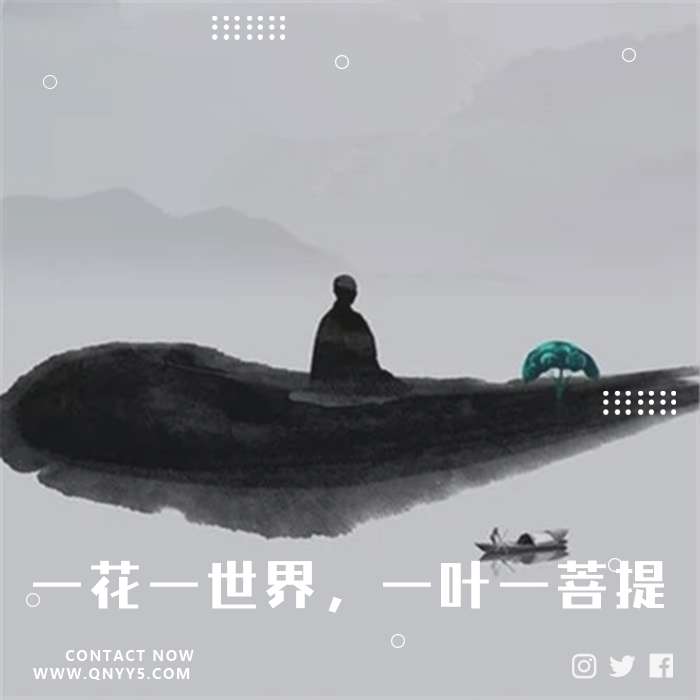 禅心佛乐《一花一世界，一叶一菩提。》FLAC+MP3