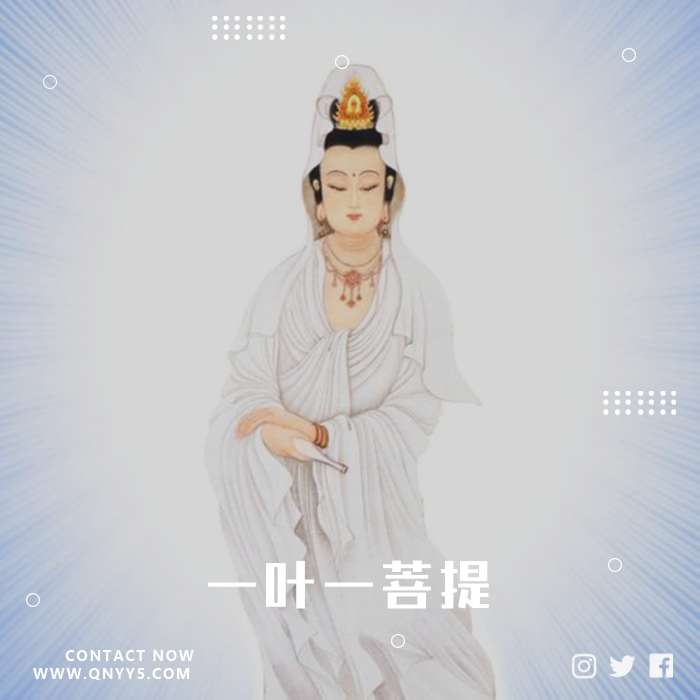 花开一世界《一叶一菩提》FLAC+MP3+MV