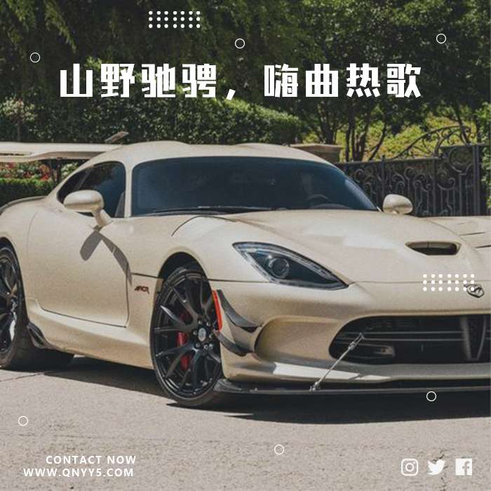 车载DJ《山野驰骋，嗨曲热歌》FLAC+MP3+MV