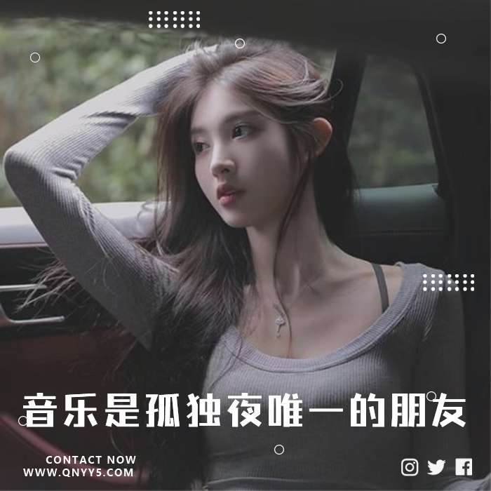 车载情歌《音乐是孤独夜唯一的朋友》FLAC+MP3+MV