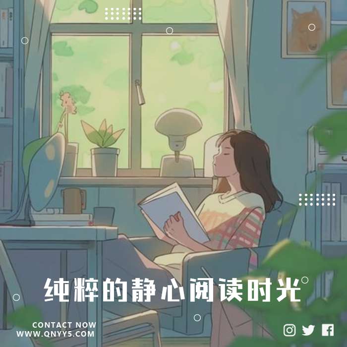 降噪100%《纯粹的静心阅读时光》FLAC+MP3