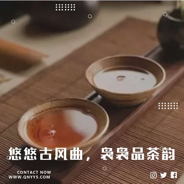 雅致茶音《悠悠古风曲，袅袅品茶韵》FLAC+MP3