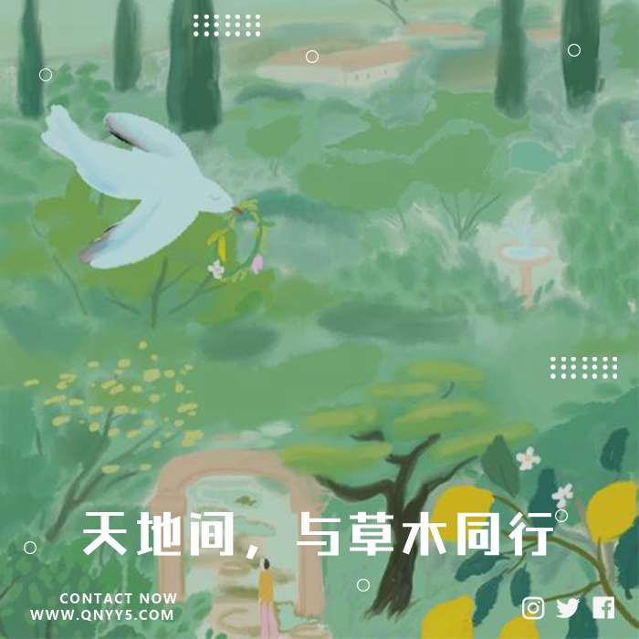 露营《天地间，与草木同行》FLAC+MP3