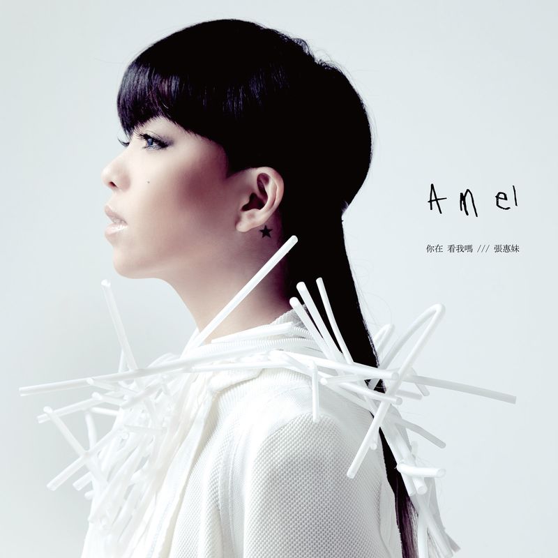 张惠妹-《你在看我吗》