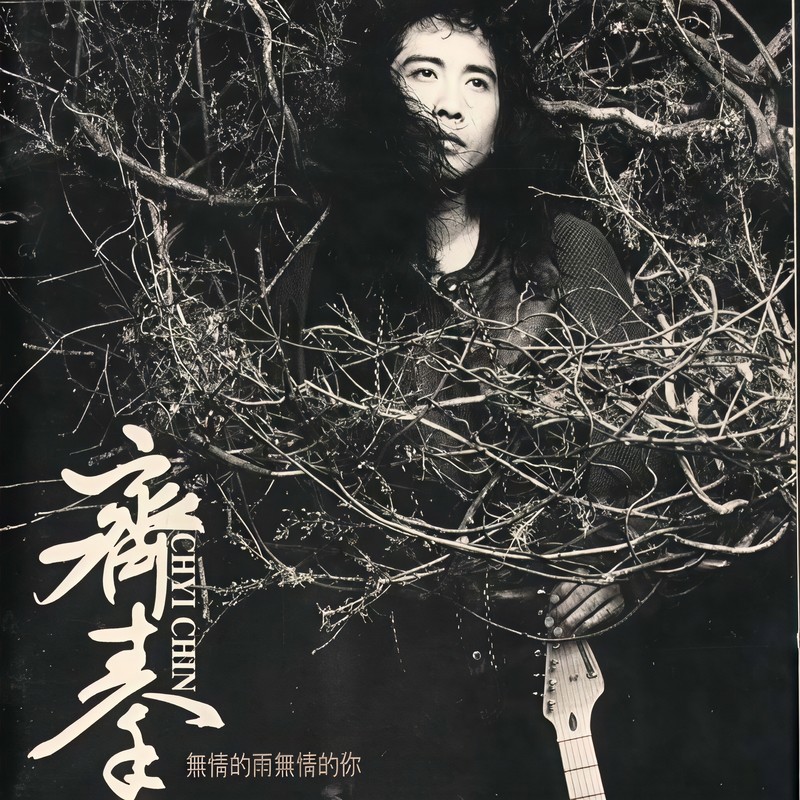 齐秦-《无情的雨无情的你》