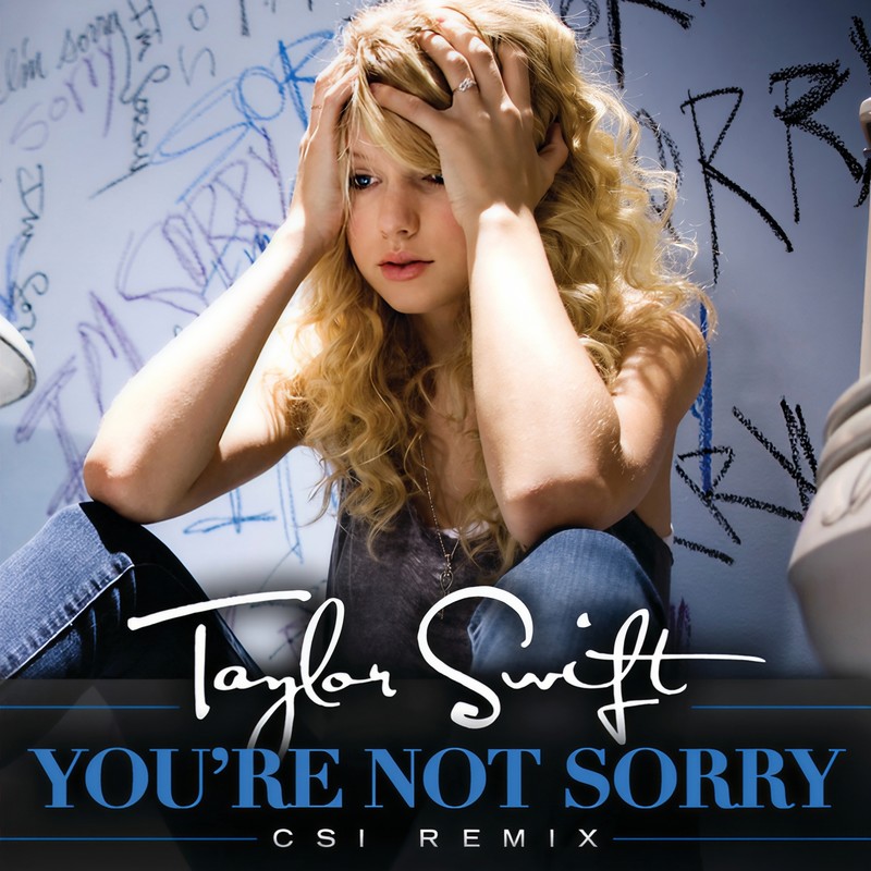 Taylor Swift-《You’re Not Sorry》 (CSI Remix)