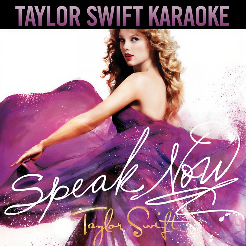 Taylor Swift-《Speak Now》 (原版伴奏)