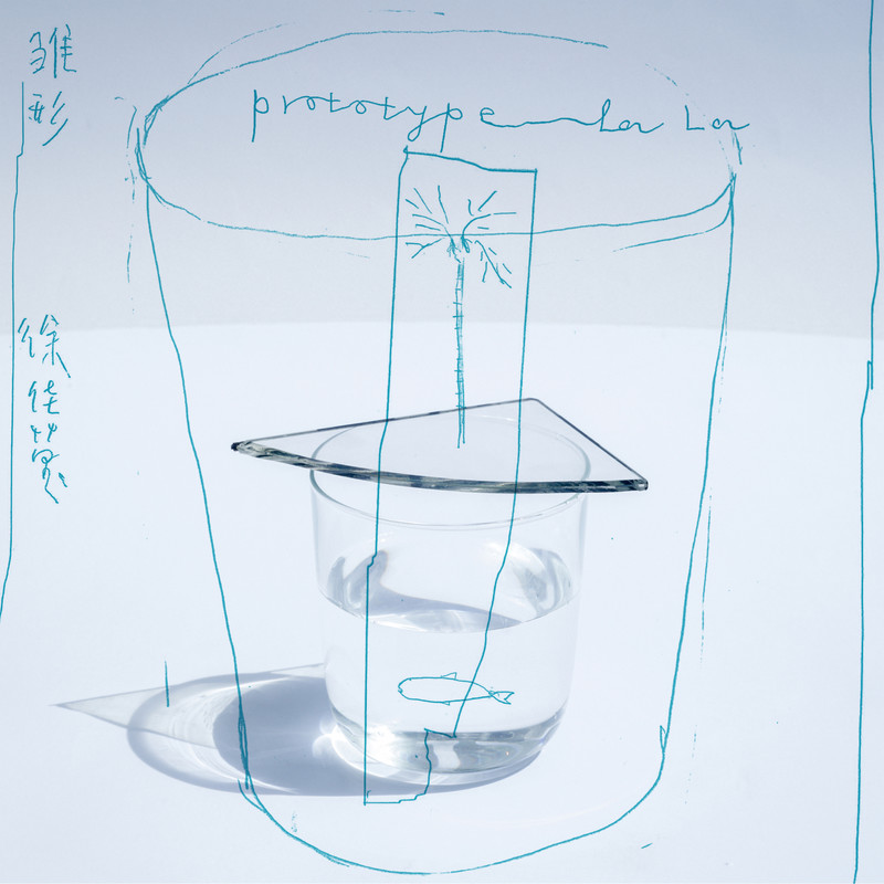 徐佳莹-《雏形》