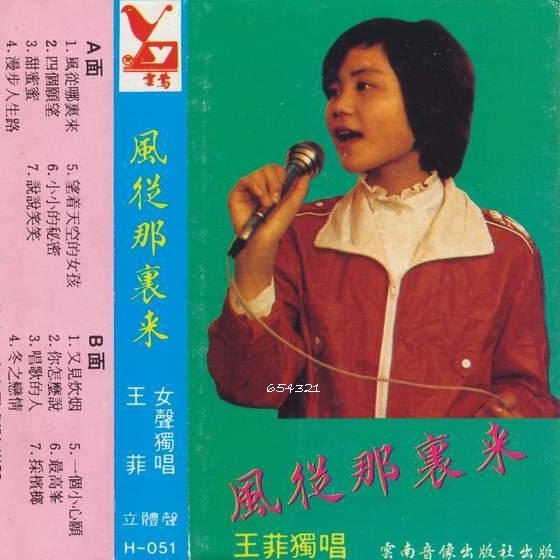 王菲-《风从哪里来》