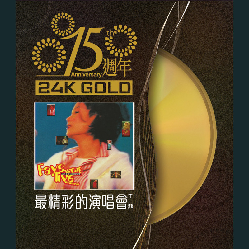 王菲-《王菲最精彩的演唱会》